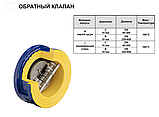 Клапан зворотний підпружинений двостулковий Zetkama 407 Ду 250 Ру 16, фото 2