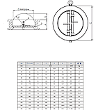 Клапан зворотний підпружинений двостулковий Zetkama 407 Ду 250 Ру 16, фото 4