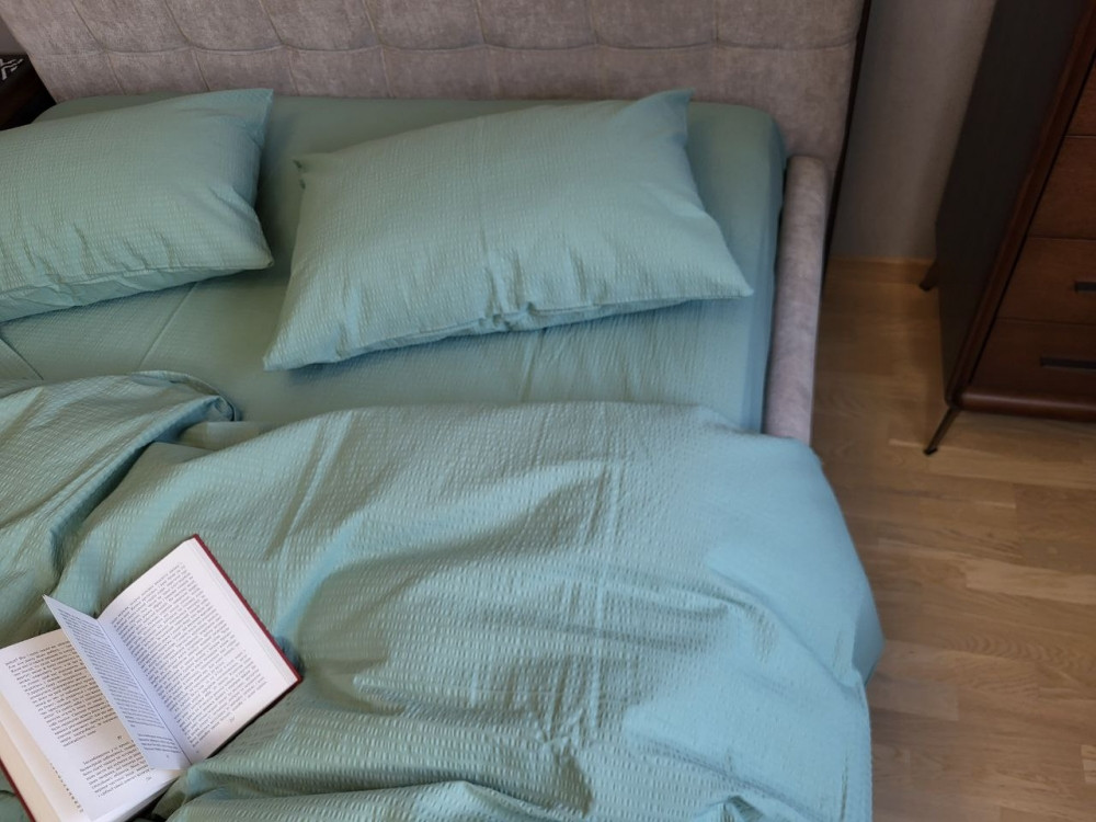 Зелений полин GS200, GOFRE (Полуторний), фото 1