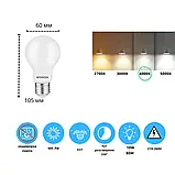 Філаментна LED лампа 10W 4000K A60 E27 ETRON SoftGlow 1-EFP-1808 Filament, фото 2