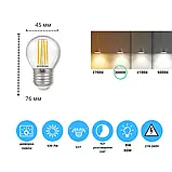 Філаментна LED лампа 8W 3000K G45 E27 ETRON 1-EFP-2351 прозоре скло димерна, фото 2