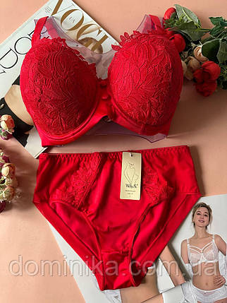 80/85/90/95/100D Елегантний комплект білизни Weiyesi D з поролоном і середньою посадкою червоний, фото 1