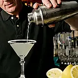 Практичний і стильний набір барного приладдя 16 предметів,шейкер 550мл, фото 4