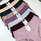 Бавовняні жіночі трусики  Leiccina #2704-1 Мікс, фото 2