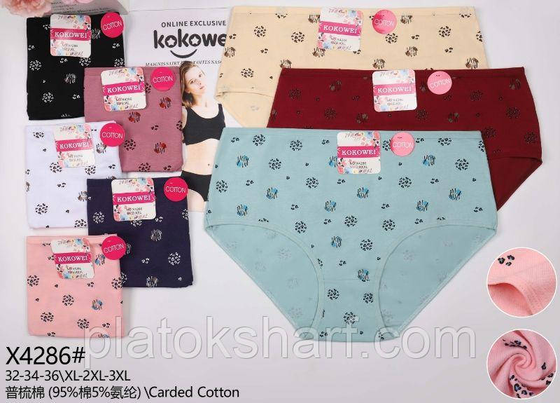 Жіночі труси Бавовна стяжка «Крапинка» 48-56 (4286)