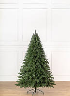 Ялинка лита "Лапландська"