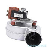 Вентилятор (турбіна) димовидалення 35 W для Ferroli (39817550) 36601851, фото 3