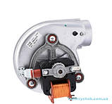 Вентилятор (турбіна) димовидалення 35 W для Ferroli (39817550) 36601851, фото 4