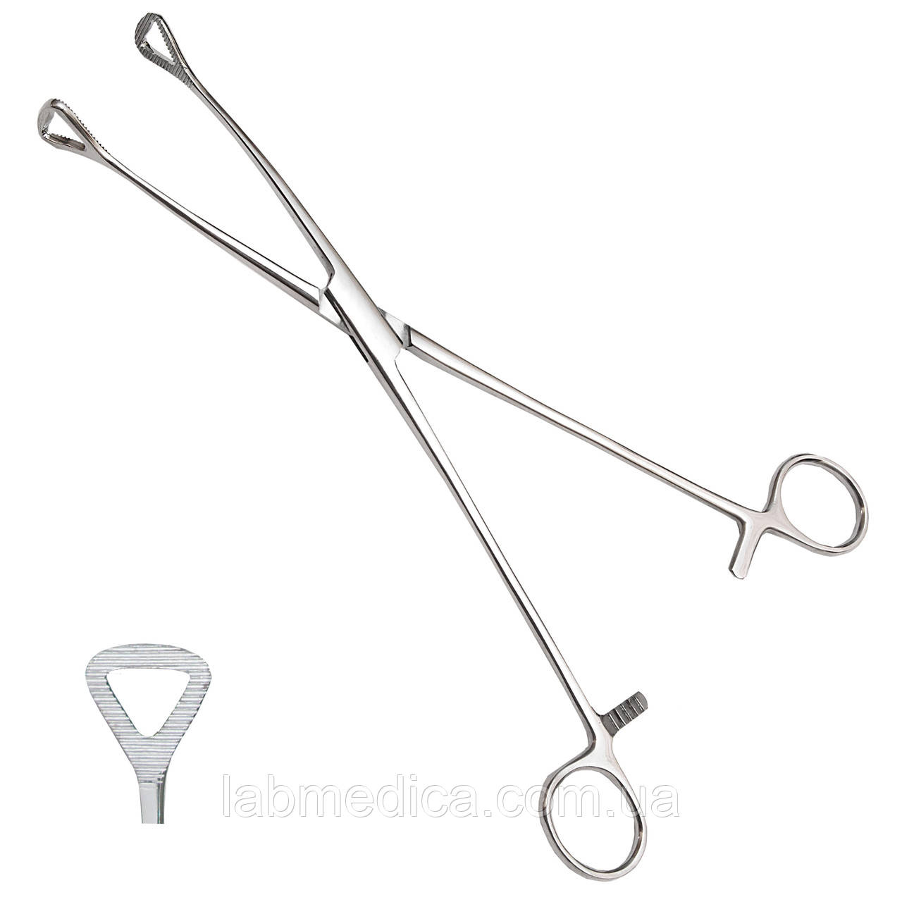 Щипці для захоплення післяпологової шийки матки через Duval. Довжина 26 см, ширина 23 мм SURGIWELOMED, фото 1