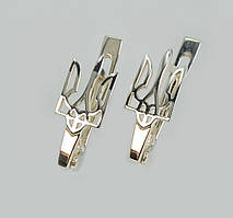 Срібні сережки з золотими пластинами