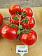 Насіння томата Адріатіка F1, 100 насінин, Sakata, фото 3