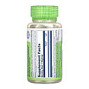 DSN_GROUP - Astragalus Root 400mg - 100 vcaps, фото 2