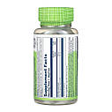 DSN_GROUP - Garlic Parsley 530mg - 100 vcaps, фото 2