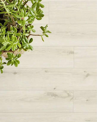 Вініловий ламінат Tarkett Elegance Rigid 55 Delicate Oak Sugar, фото 2