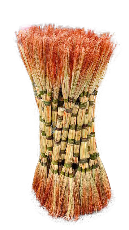 Віник сорго вищий сорт Люкс-2 h=70-80 см (на лозі)