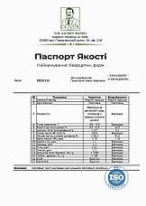 Порошок Кверцетину 1 кг, фото 5