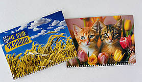 Календар настінний на 2026 рік Квартальний 3 пружини (144563)