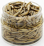 Консервований корм для комахоїдних тварин "БОРОШНЯНИЙ ХРОБАК", 100г, фото 3