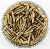 Консервований корм для комахоїдних тварин "БОРОШНЯНИЙ ХРОБАК", 100г, фото 4