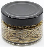 Консервований корм для комахоїдних тварин "БОРОШНЯНИЙ ХРОБАК", 100г, фото 2