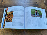 Книга Ukrainian Traditional Cuisine in Folk Calendar, фото 6