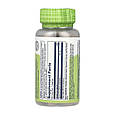 Slippery Elm Bark 400mg - 100 vcaps, фото 2
