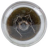 Лампочка для духовки Whirlpool 484000000984 15 W 220 V E14 300 °C, фото 4