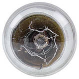 Лампочка для духовки Whirlpool 484000008842 25 W 220 V E14 300 °C, фото 4