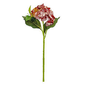 Букет "Гортензія великолиста", бордова ELISEY