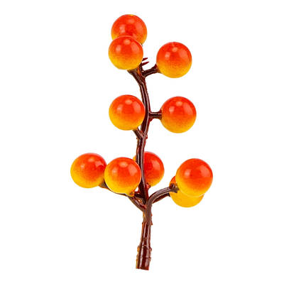 Гілочки з ягодами