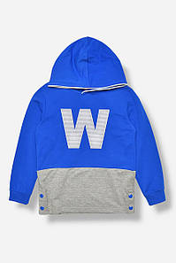 Кофта дитяча для хлопчика синього кольору з принтом р.116 207525P