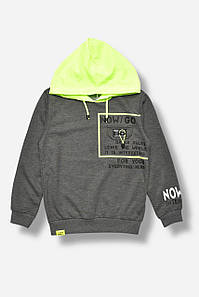 Кофта дитяча для хлопчика сірого кольору з принтом 207535P