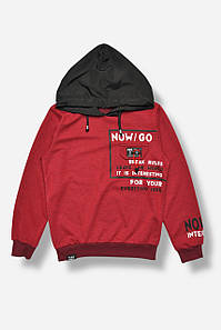 Кофта дитяча для хлопчика бордового кольору з принтом 207537P