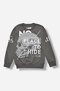 Кофта підліткова для хлопчика сірого кольору з принтом 207578P