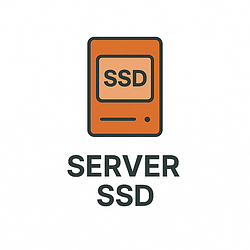 SSD серверні