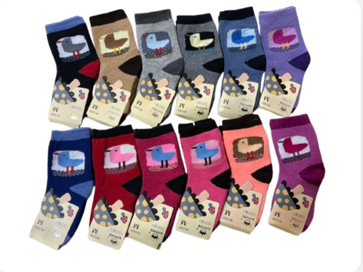 Дитячі шкарпетки "Корона" махра