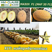 Диня Мазін F1 / Maziane F1 (MAF 35 F1), ТМ Clause (Франція)