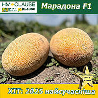 Диня крупноплідна Марадона F1 / Maradona F1, ТМ Clause (Франція), 1000 насінин
