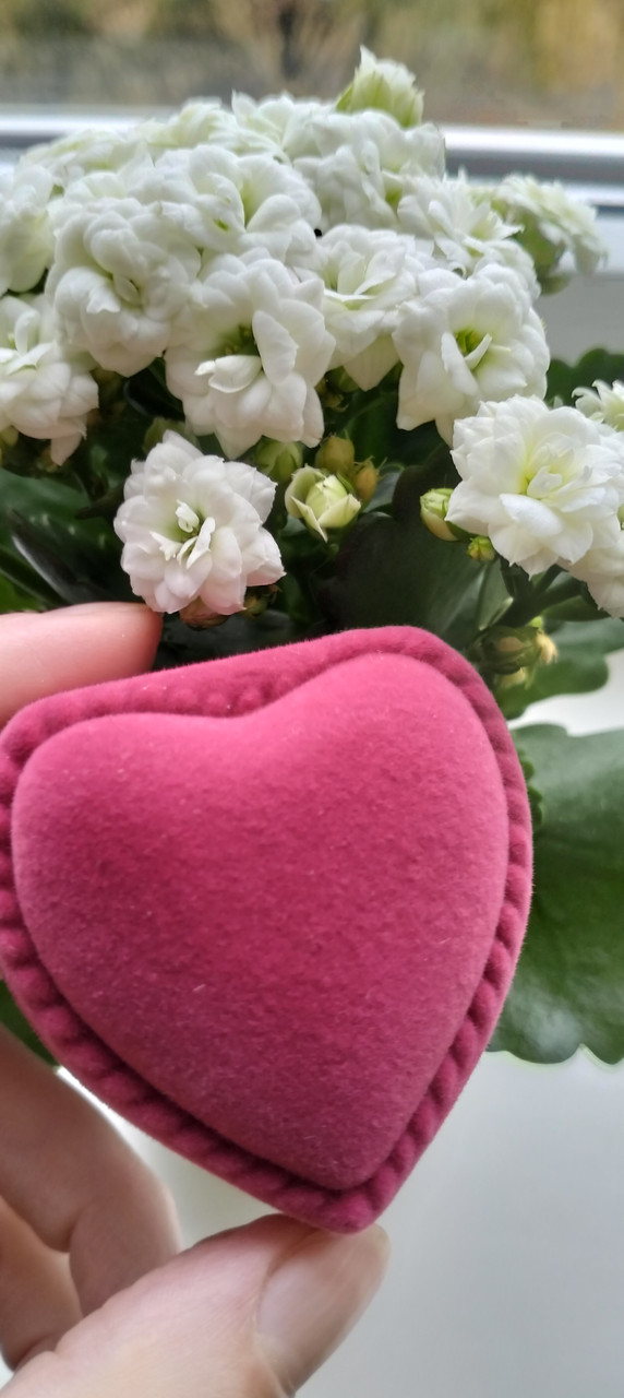 Футляр для ювелірних виробів серце, фото 1