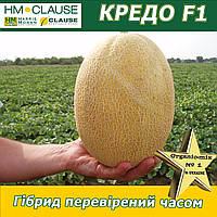 Насіння, диня Кредо F1, рання, ТМ Clause (Франція)