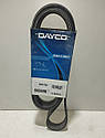 Dayco Ремінь полікліновий 6pk1750, фото 3