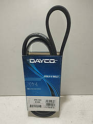 Dayco Ремінь полікліновий 6pk1555