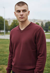 Чоловічий светр оптом, M-3XL рр., арт. 804-5