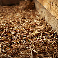 Яка підстилка найкраще поглинає вологу