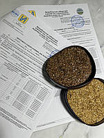 Насіння Льону. Сорт (Запорізький Богатир) 95 днів, 21-25ц/га, Олія 50%, 2-га репр., фото 7