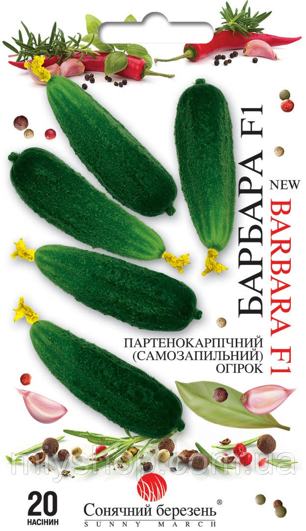 Огірок ранній самозапильний Барбара F1 20 шт Сонячний березень, фото 1