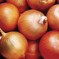 Лук Агростадіон