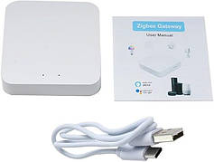 Розумний дім Контролер Tuya TYZG1 ZigBee 3.0 Wi-Fi BLE для систем розумного дому шлюз із підтримкою Alexa Google Польща