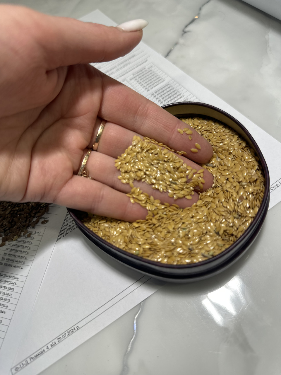 Льон Золотистий. Сорт "ГОЛДБЕРГ" 85 днів, 20-25ц/га, 50%, 2-га репродукція, фото 1