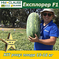 Кавун Експлорер F1, HM. Clause (Франція), 1000 насінин